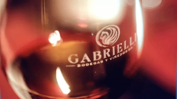 Vino Familia Gabrielli Malbec 2020 - Pack x 6 un. - Image 3