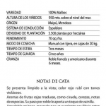 Vino Familia Gabrielli Malbec 2020 - Pack x 6 un. - Image 4